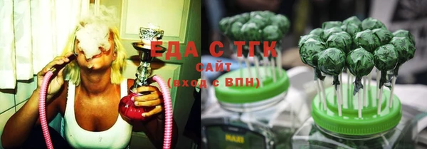 тгк Снежногорск