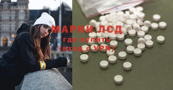 тгк Снежногорск