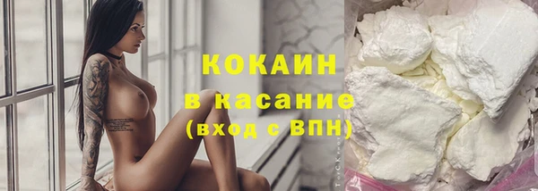тгк Снежногорск