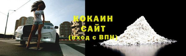 тгк Снежногорск