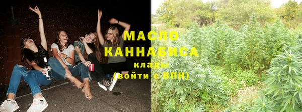 тгк Снежногорск