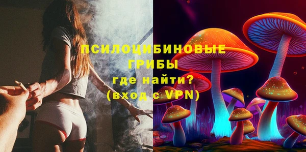 тгк Снежногорск