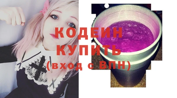 тгк Снежногорск