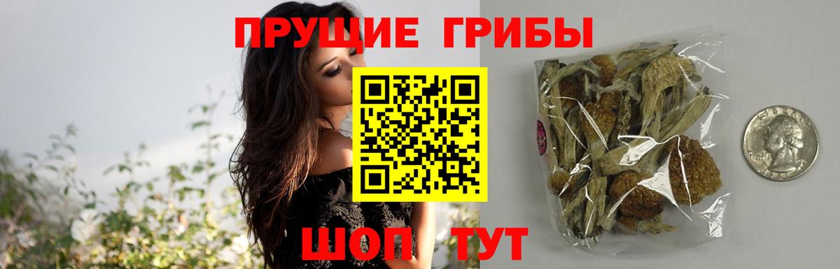 Слободской  Псилоцибиновые грибы мухоморы  Вход с VPN 